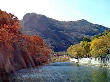 新澳天天开奖资料大全旅游团，众美康胶原蛋白